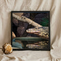 Monitor Lizard by Water