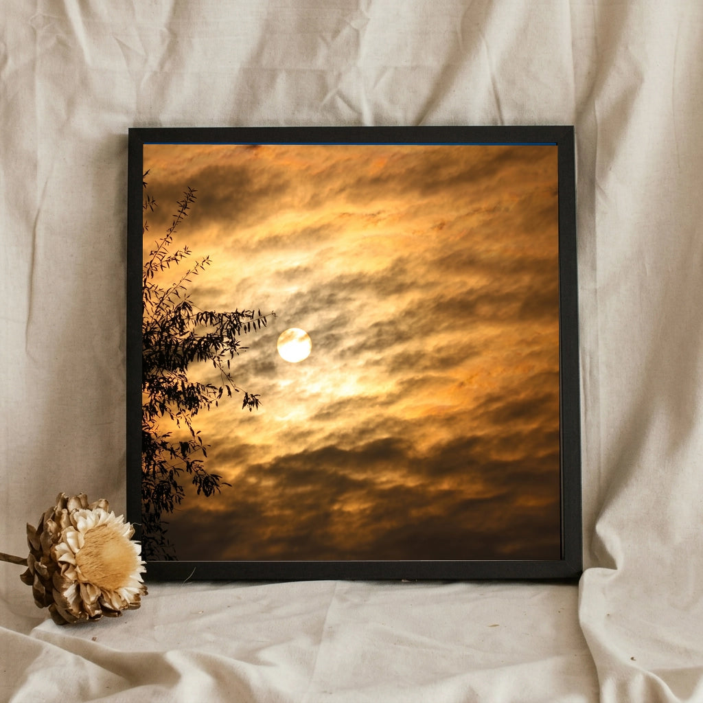Sun Through Golden Clouds Bamboo Silhouette