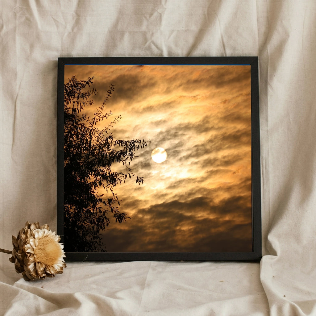 Golden Sky Through Tree Branches