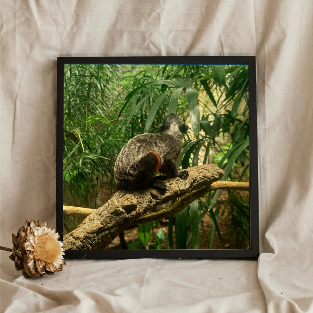 Monkey on a Jungle Branch