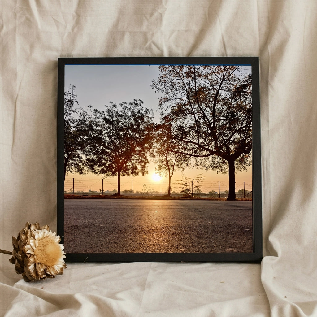 Sunrise Through Roadside Trees