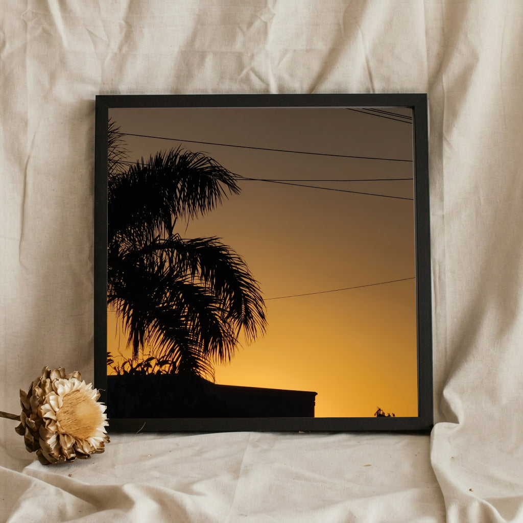 Palm Tree Sunset Silhouette