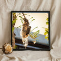 Bird at a Hanging Woven Nest