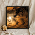 Golden Sun Through Tree Branches