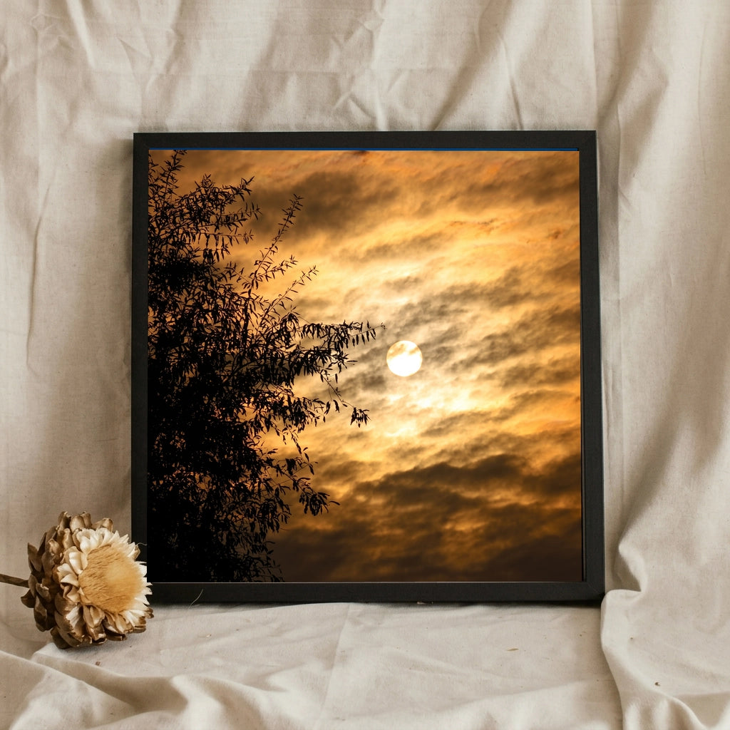 Golden Sunset Sky and Tree