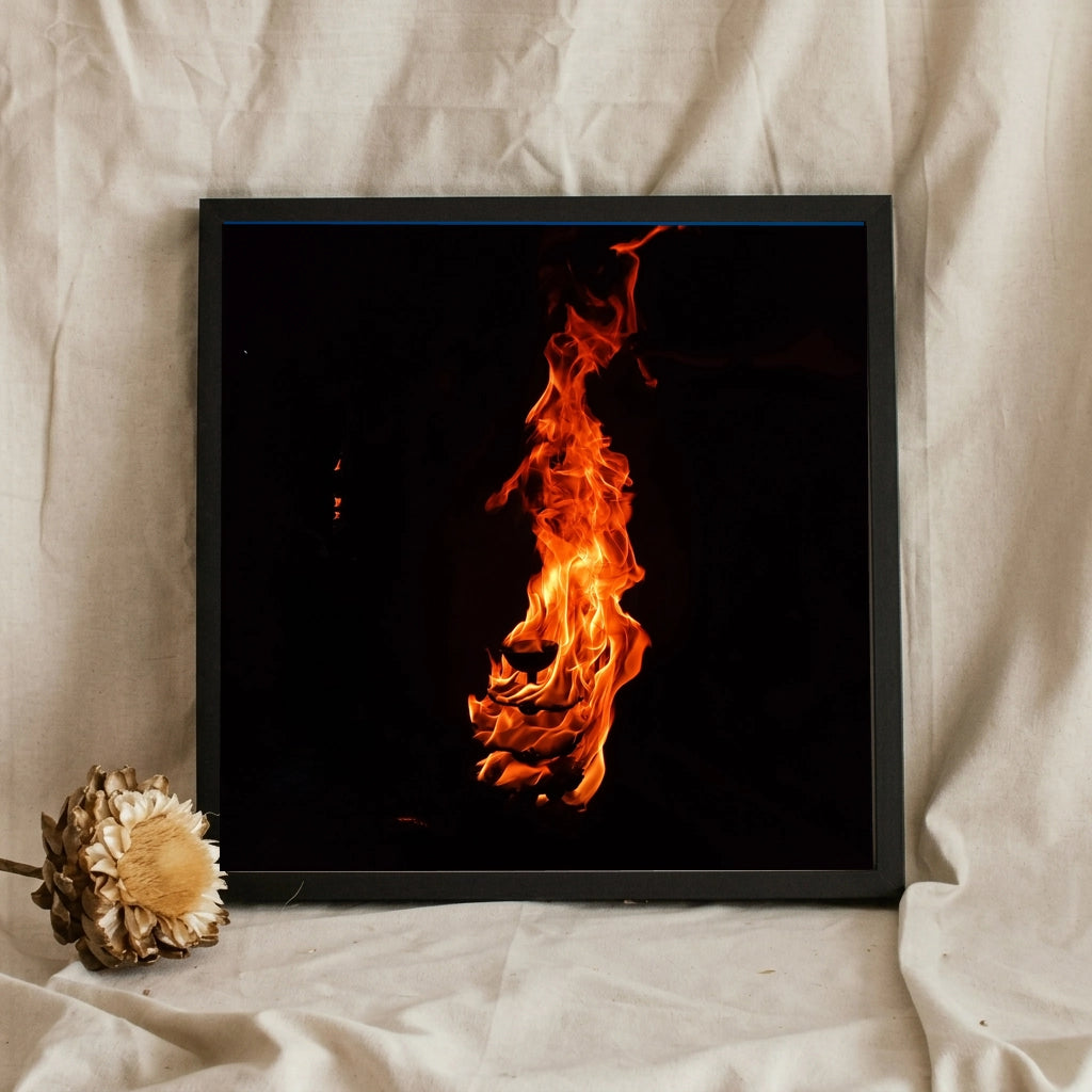 Flames Against the Black Night