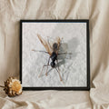 Winged Ant Macro