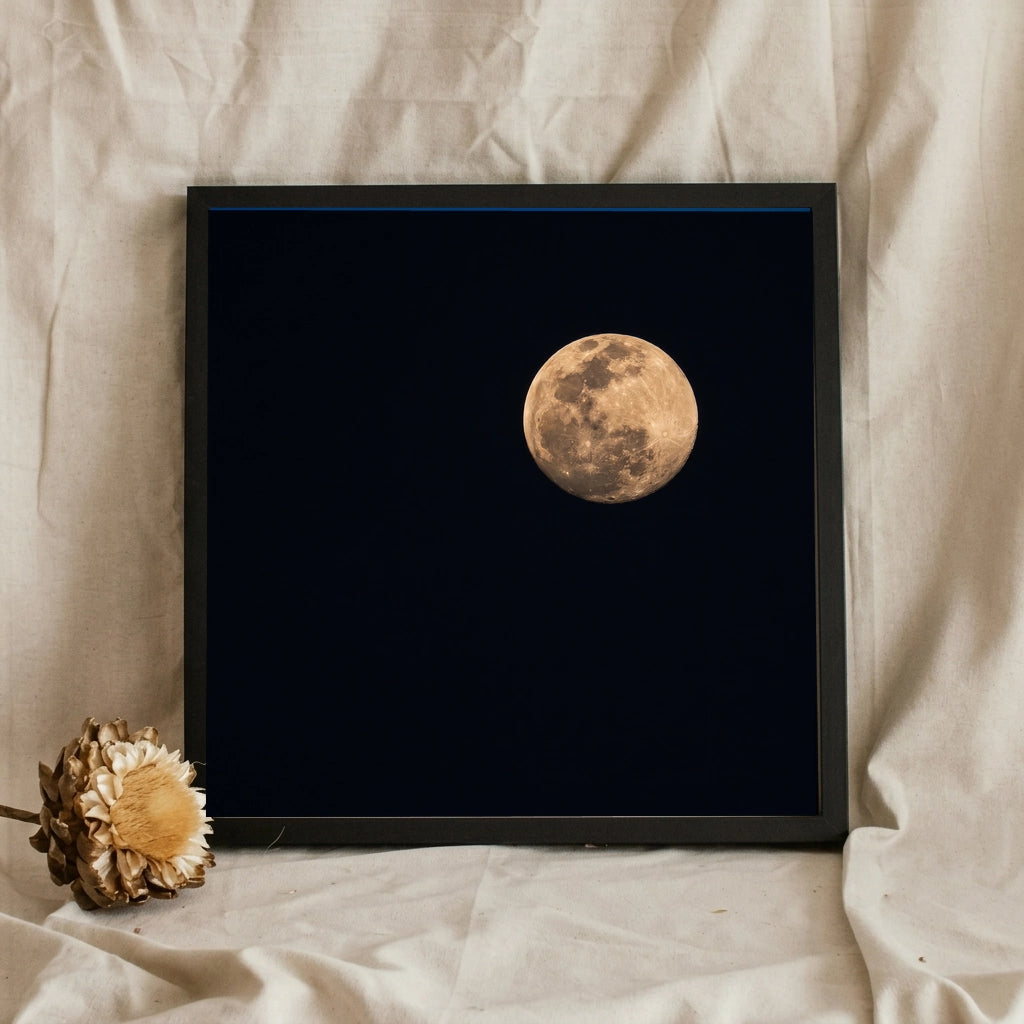 Full Moon in a Dark Sky
