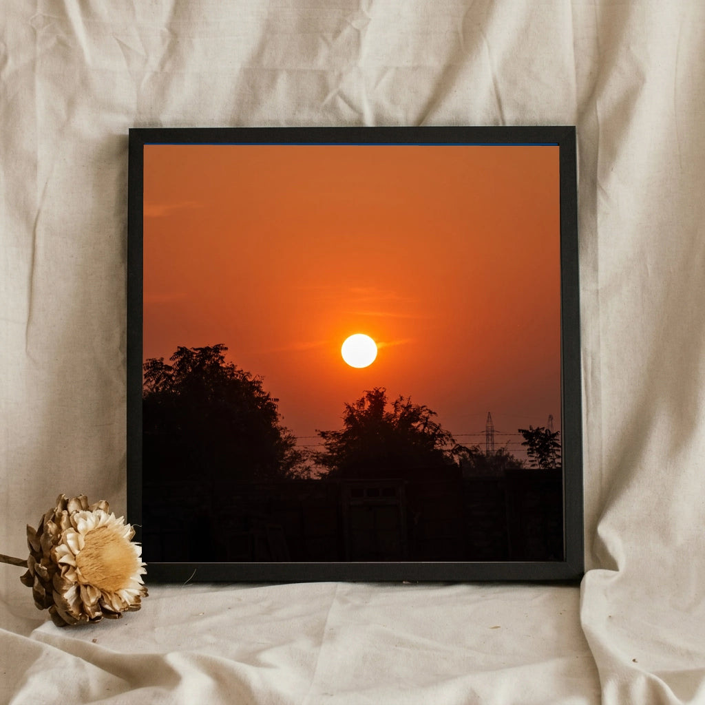 Orange Sunset Over Treetops