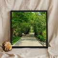Green Garden Pathway