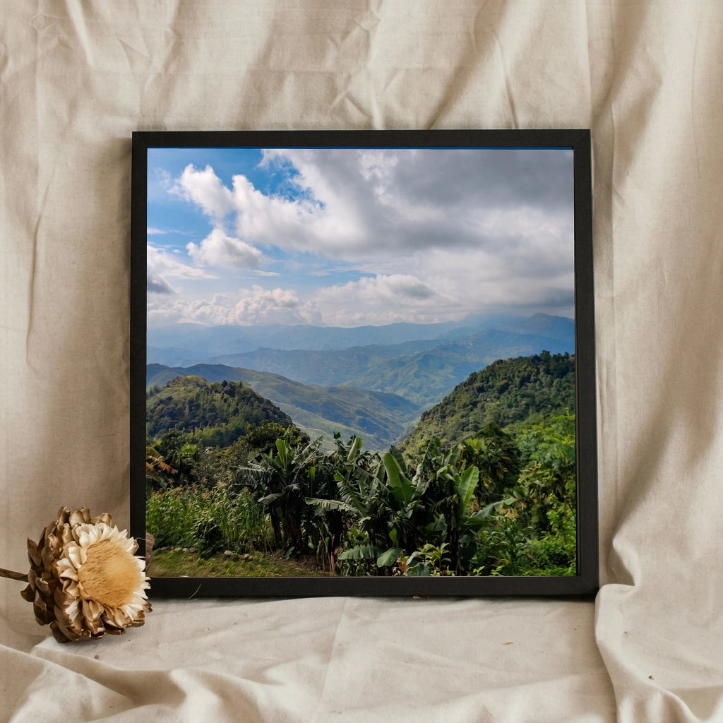 Tropical Green Mountain Valley