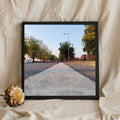 Tree Lined Road