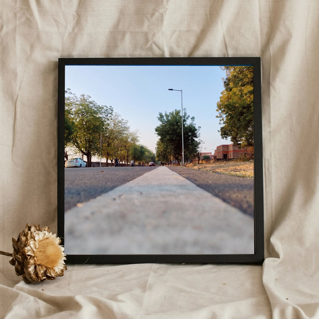 Tree Lined Road