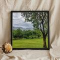 Green Valley Meadow and Monsoon Sky