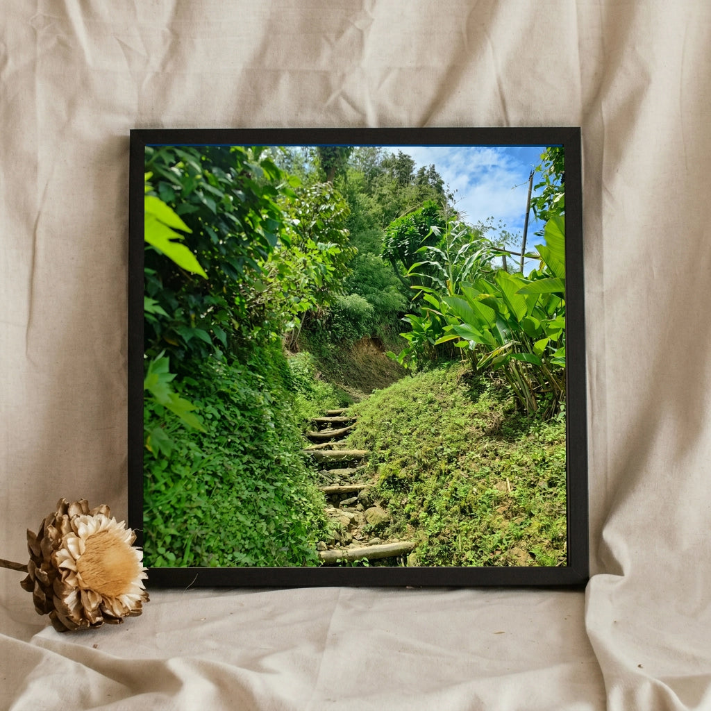 Mossy Stone Steps in a Green Jungle