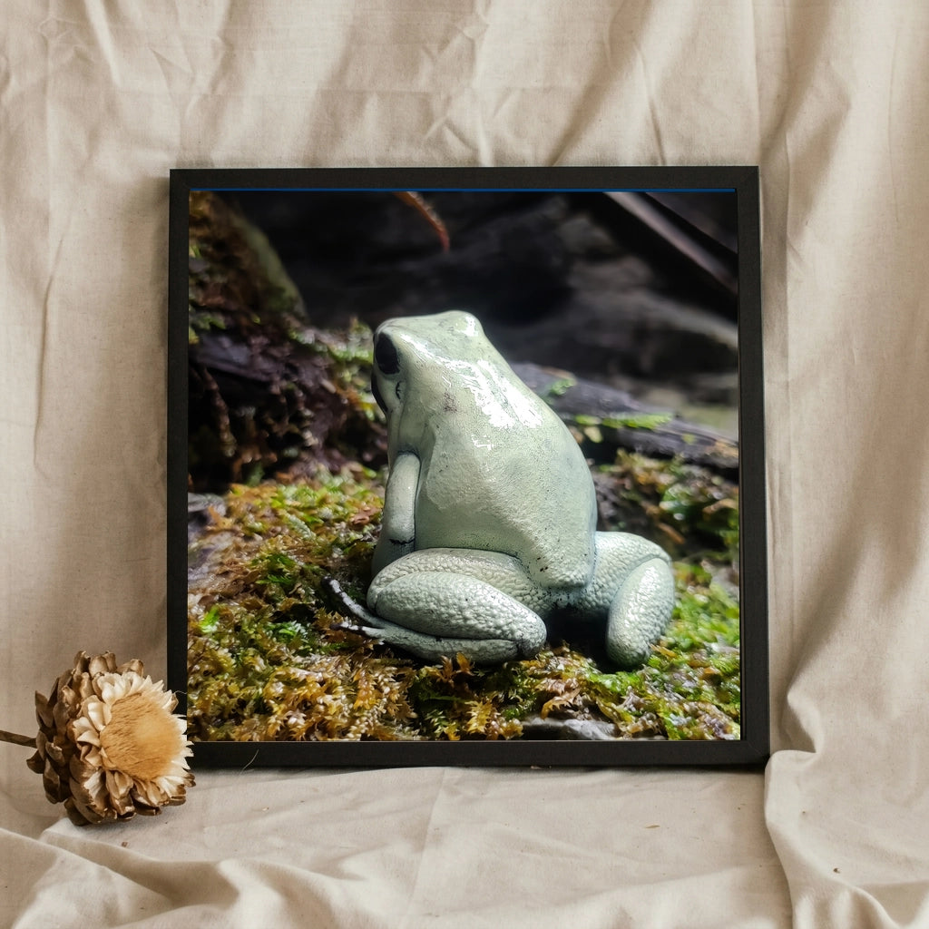 Green Frog on Moss