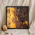 Ants on Rusted Yellow Metal