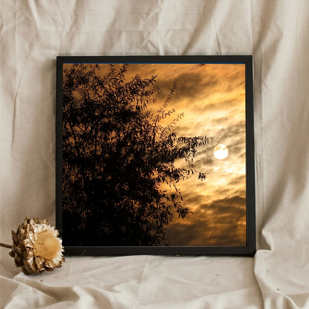 Tree Silhouette Against Golden Sky