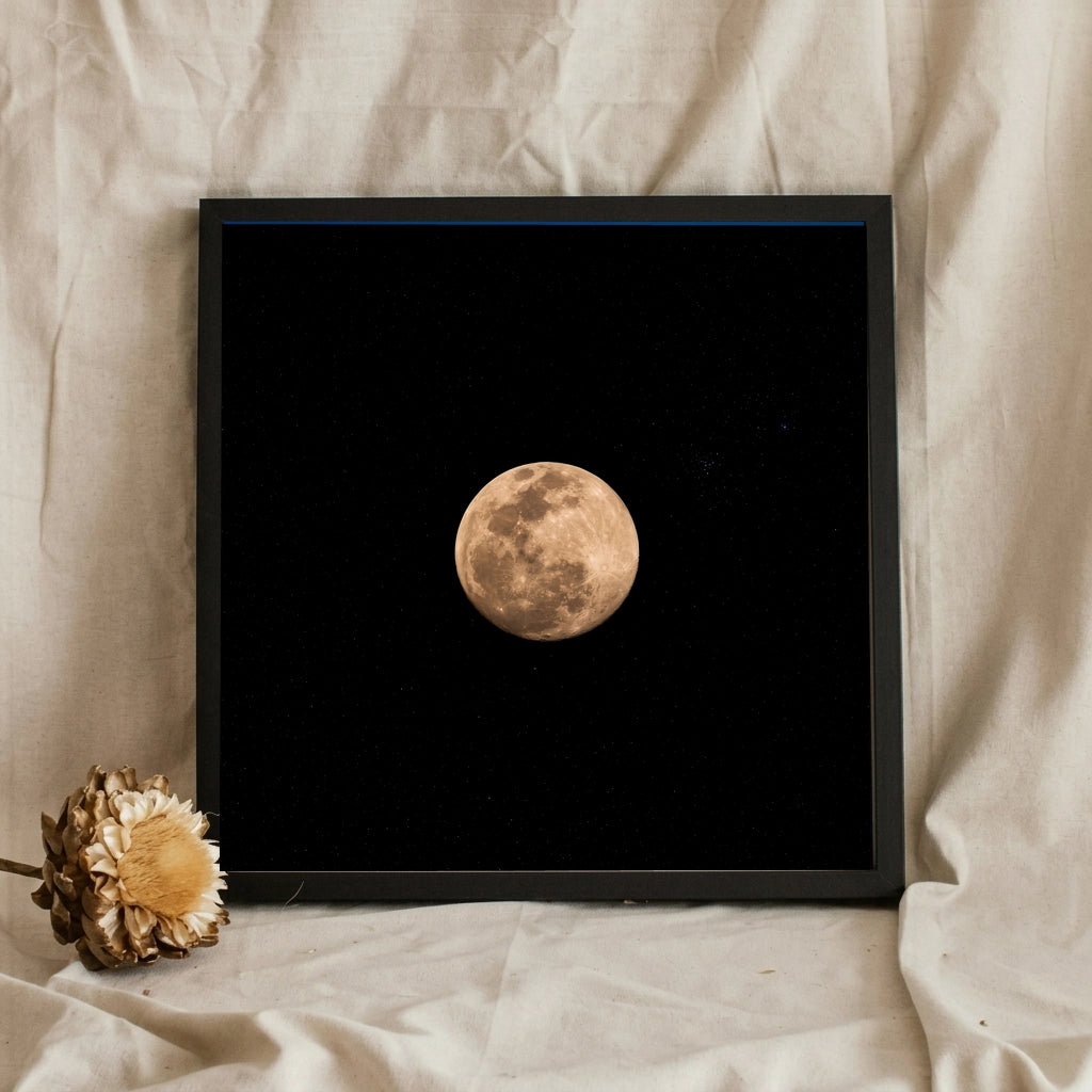 Full Moon in the Night Sky