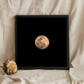 Full Moon in the Night Sky