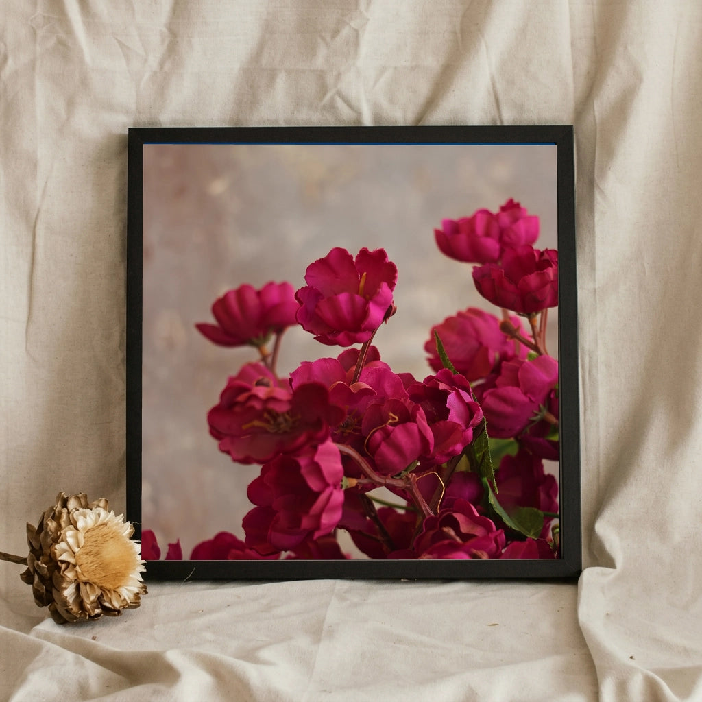Pink Flowers Close Up