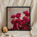Pink Flowers Close Up