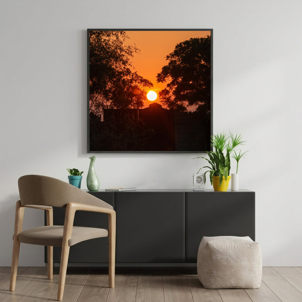 Sunset Through the Trees