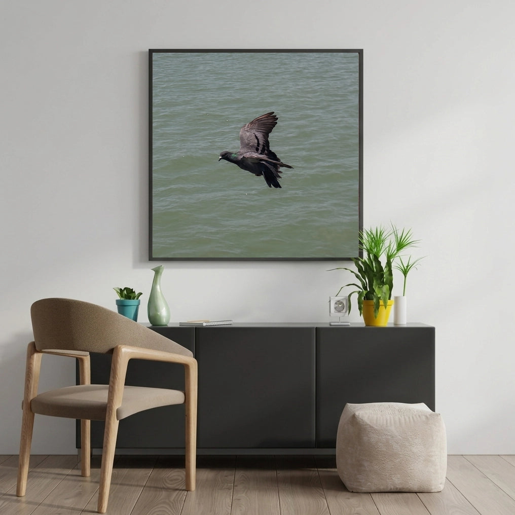 Pigeon in Flight Over Water
