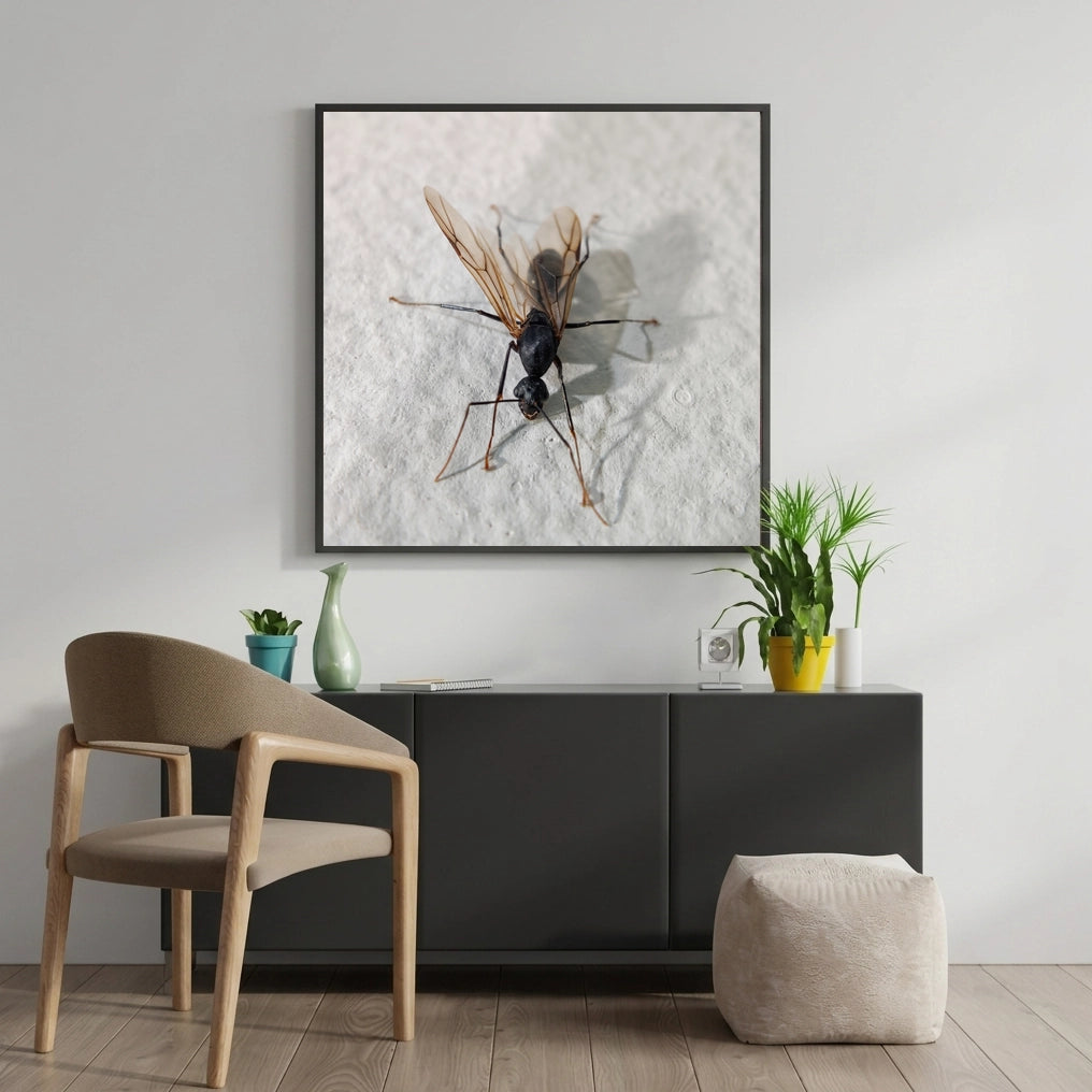 Winged Ant Macro