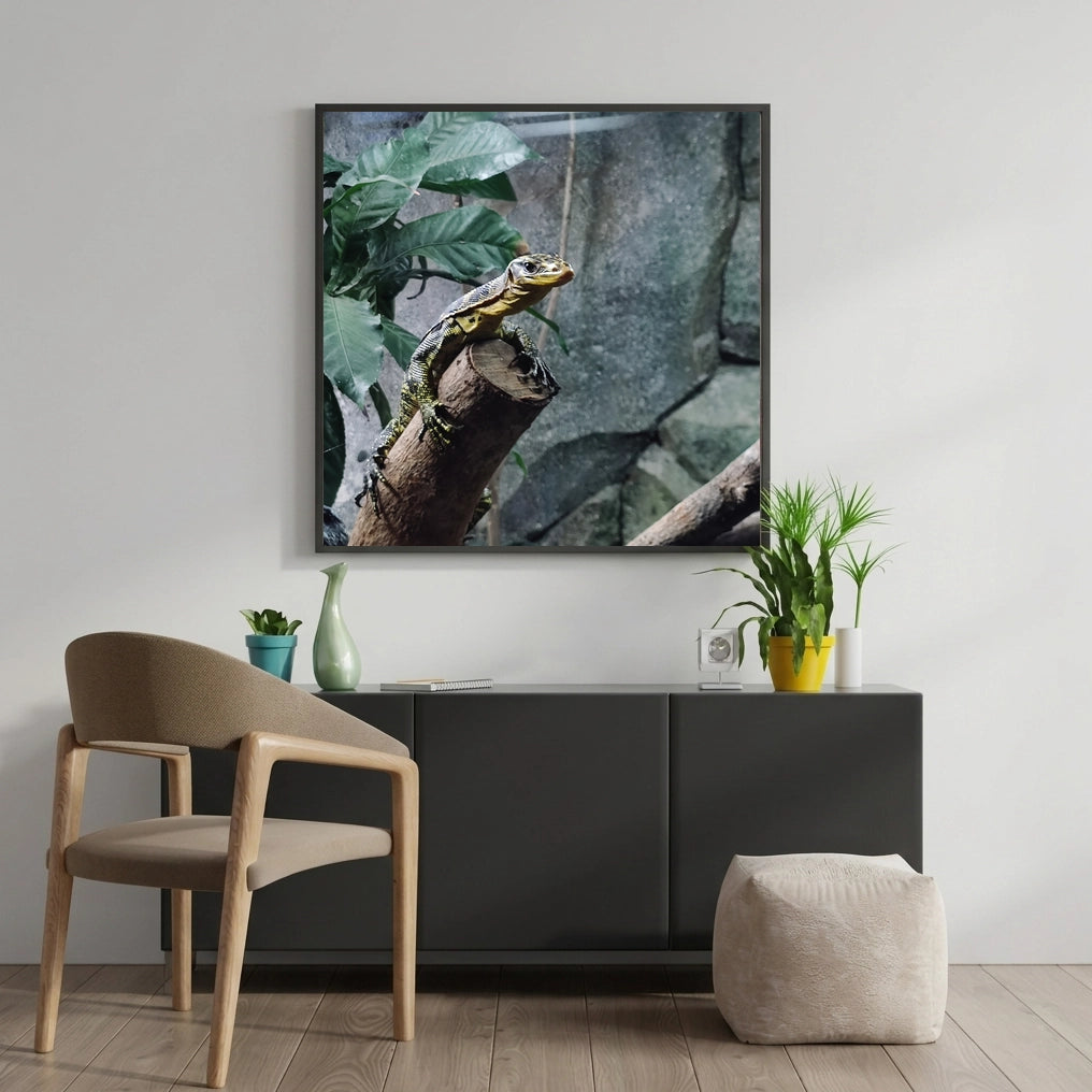 Monitor Lizard on a Branch