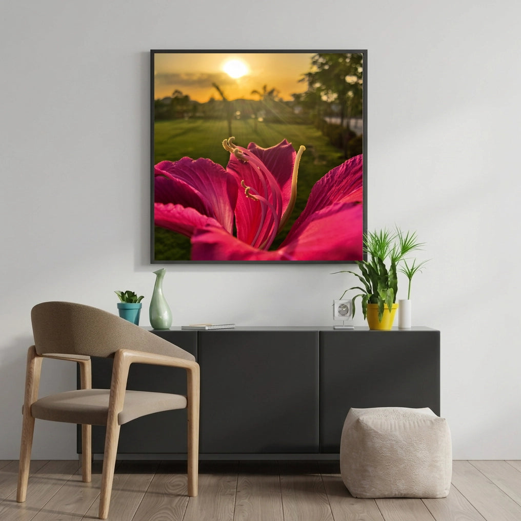 Pink Flower Against Sunset
