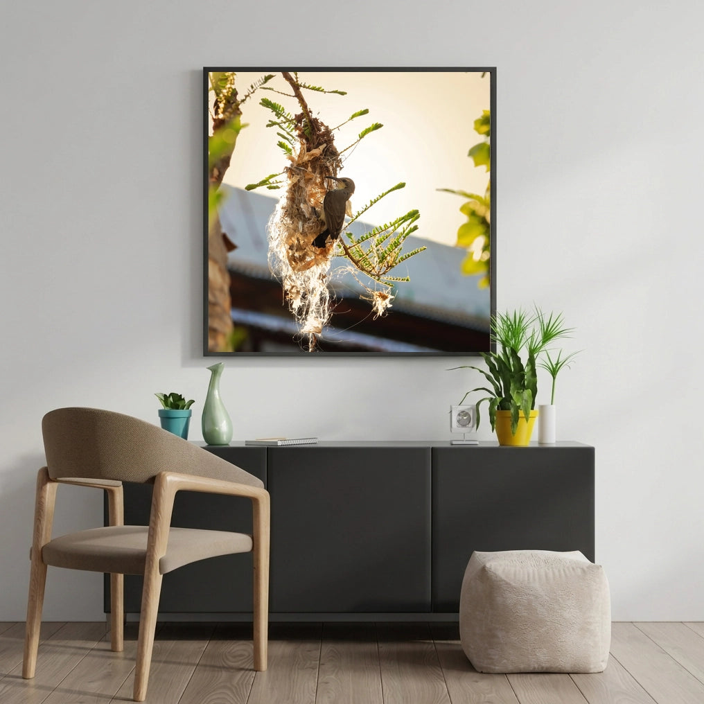 Bird at a Hanging Woven Nest