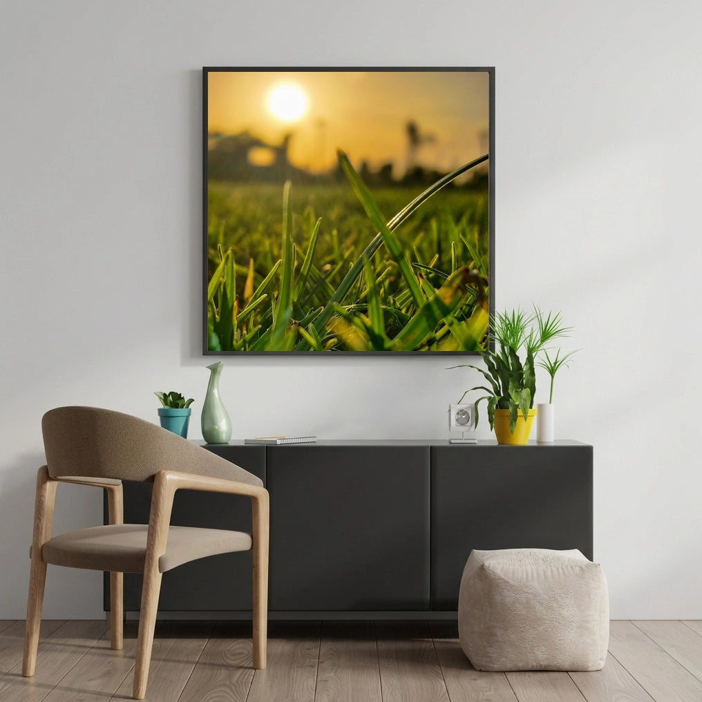 Sunset Through Green Grass