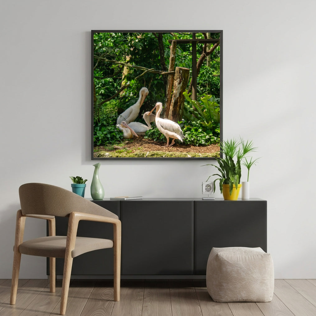 White Pelicans in Green Jungle