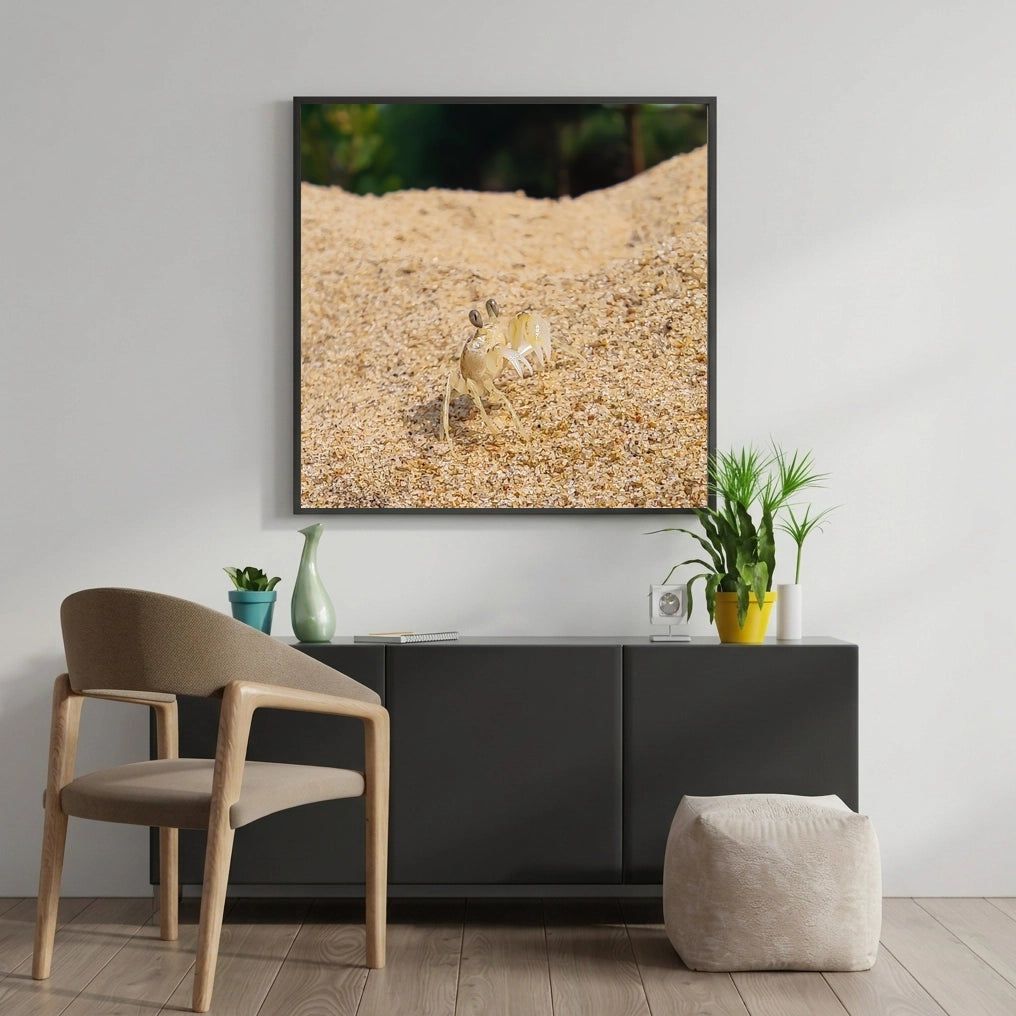 Ghost Crab on a Sand Dune