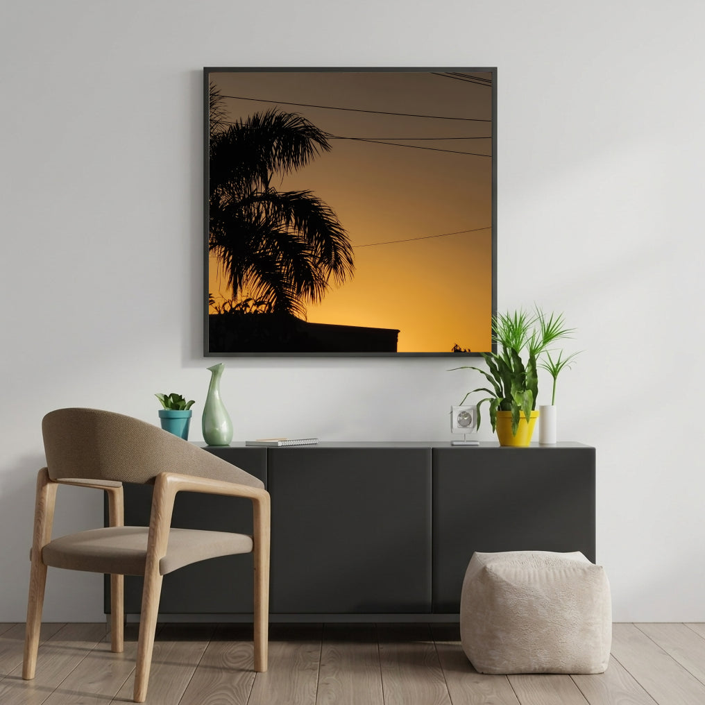 Palm Tree Sunset Silhouette