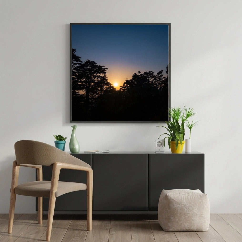 Sunset Behind Pine Trees