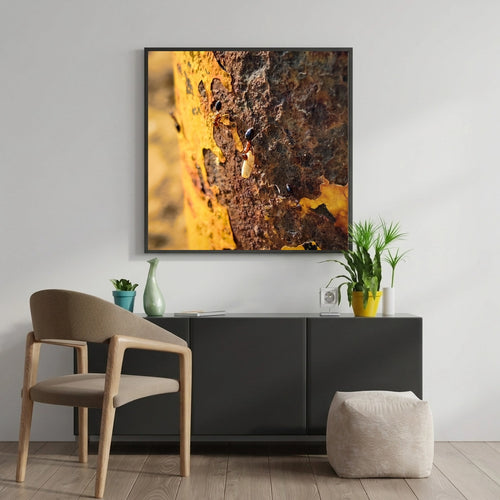 Ants on Rusted Yellow Metal