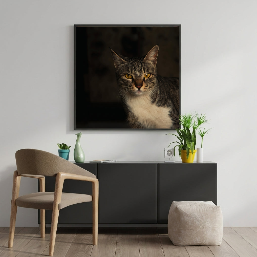 Moody Tabby Cat Portrait