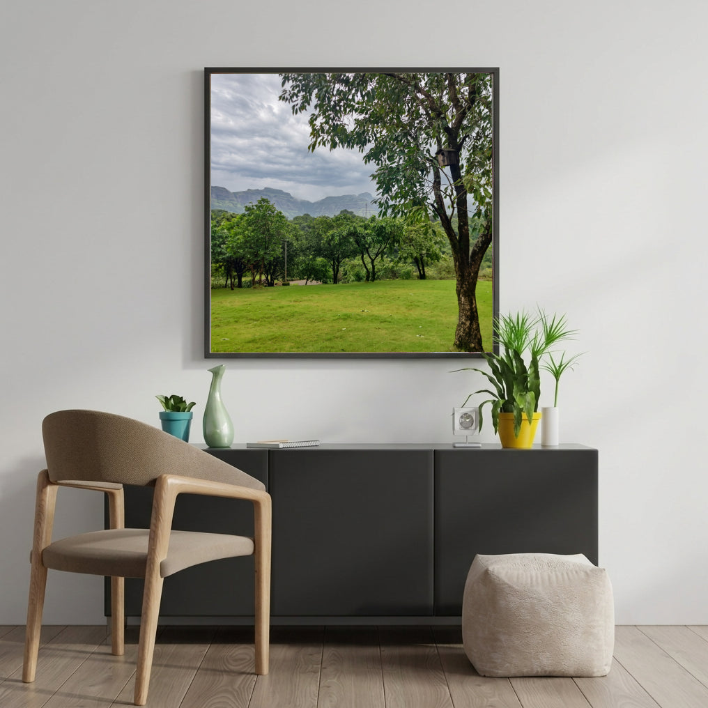 Green Valley Meadow and Monsoon Sky