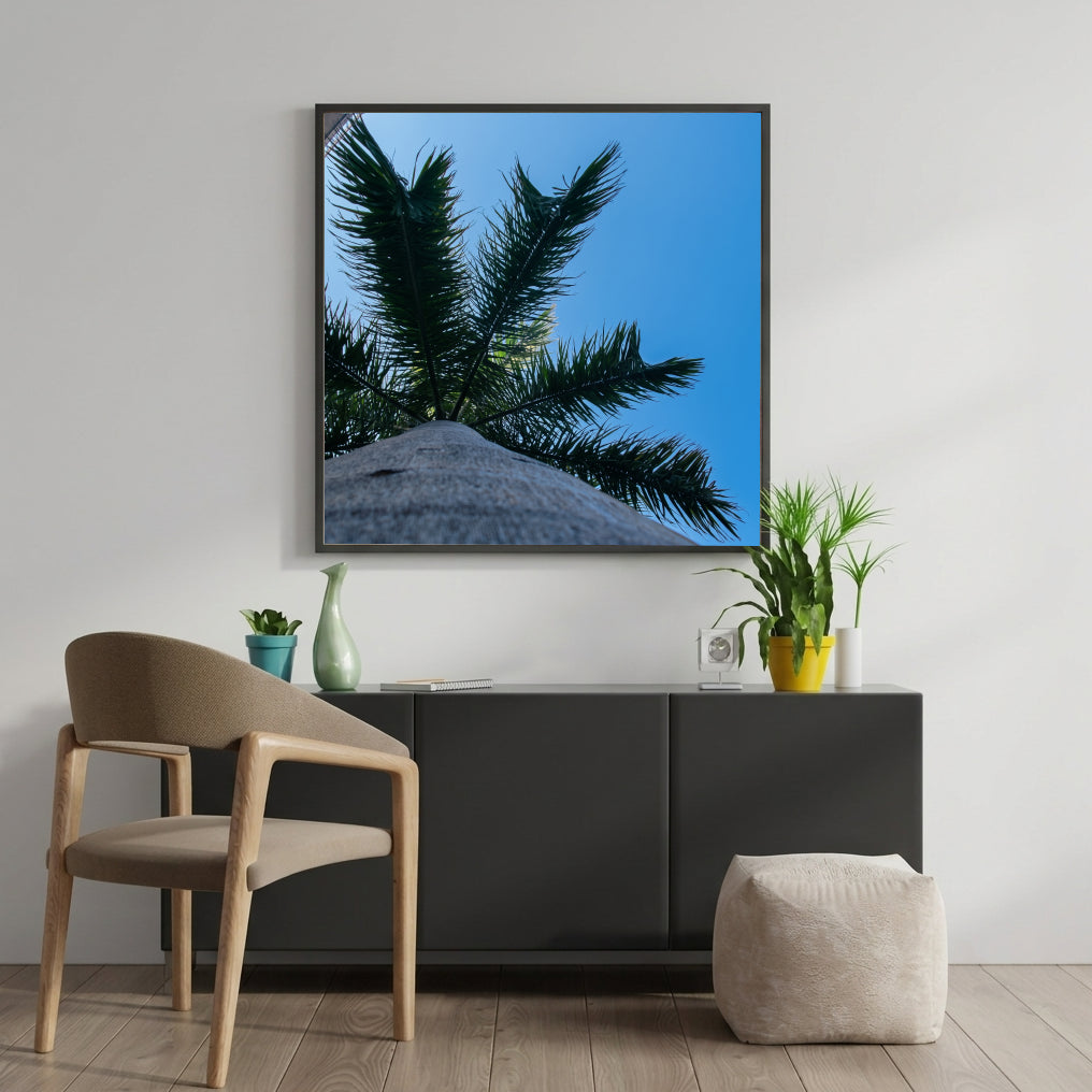 Palm Fronds Against Blue Sky