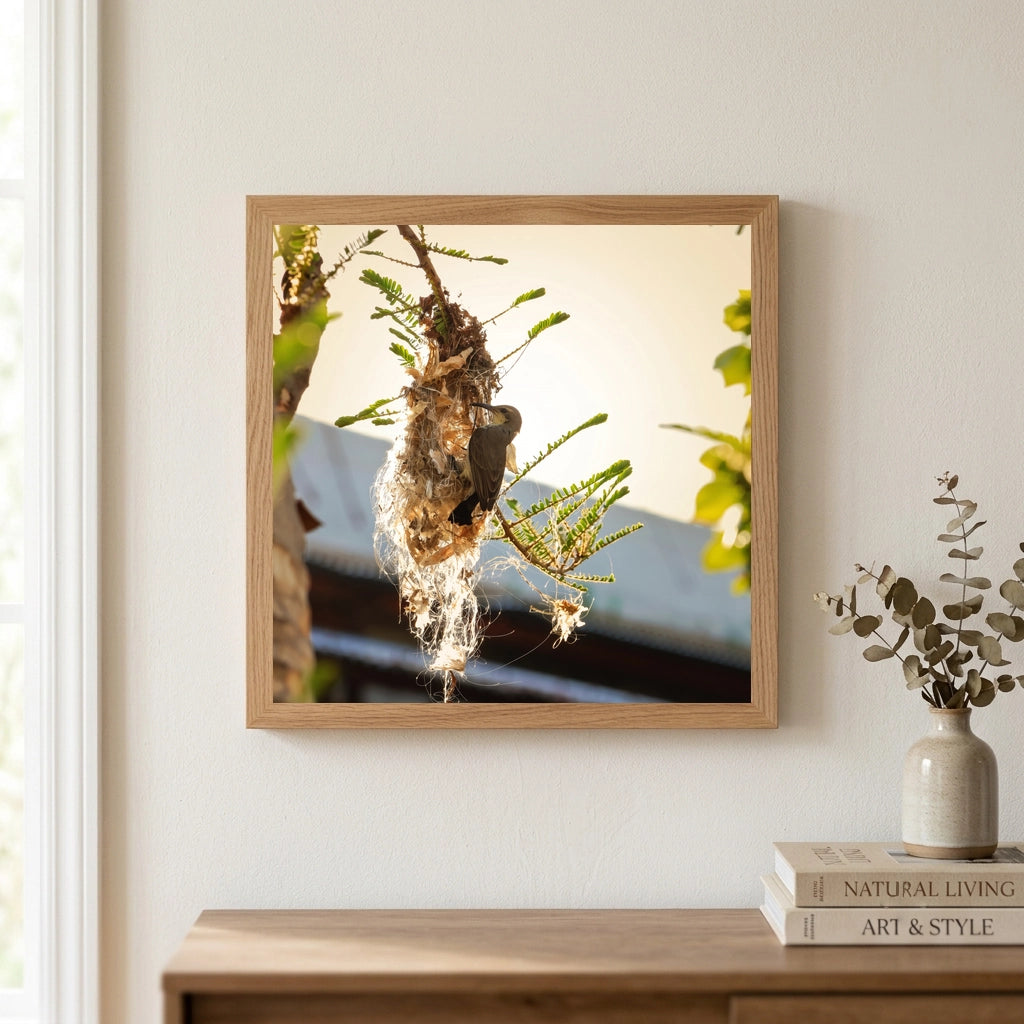 Bird at a Hanging Woven Nest