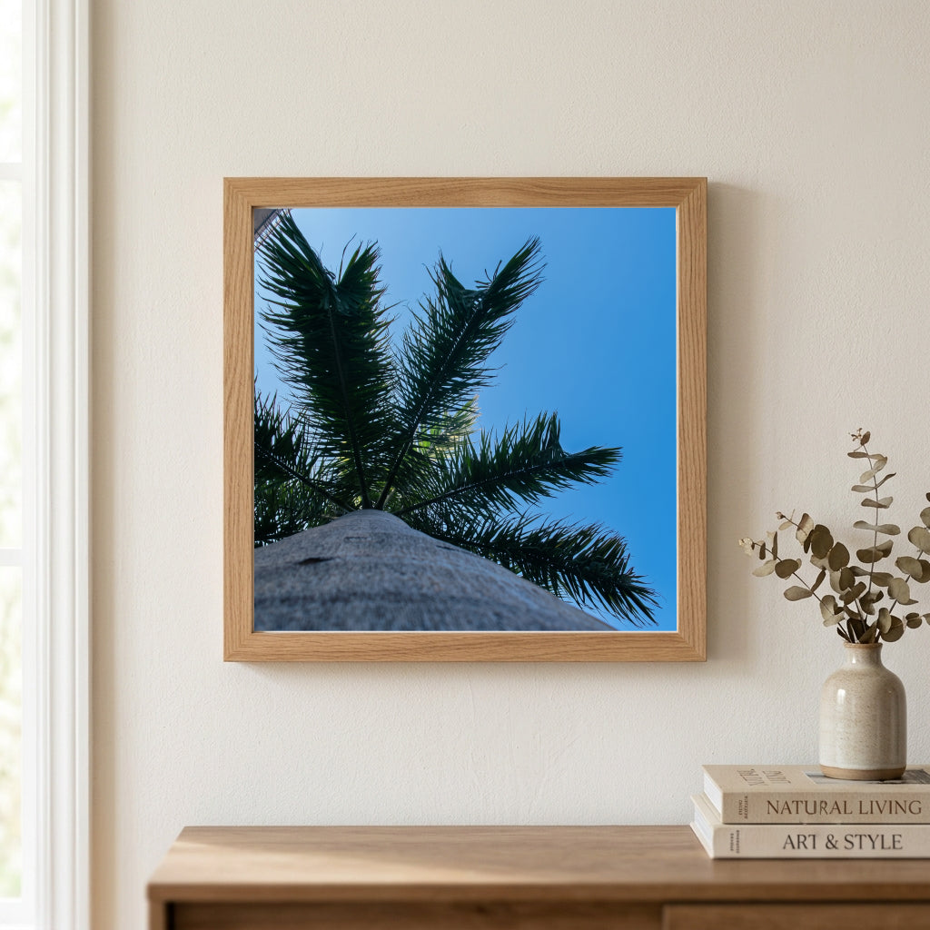 Palm Fronds Against Blue Sky