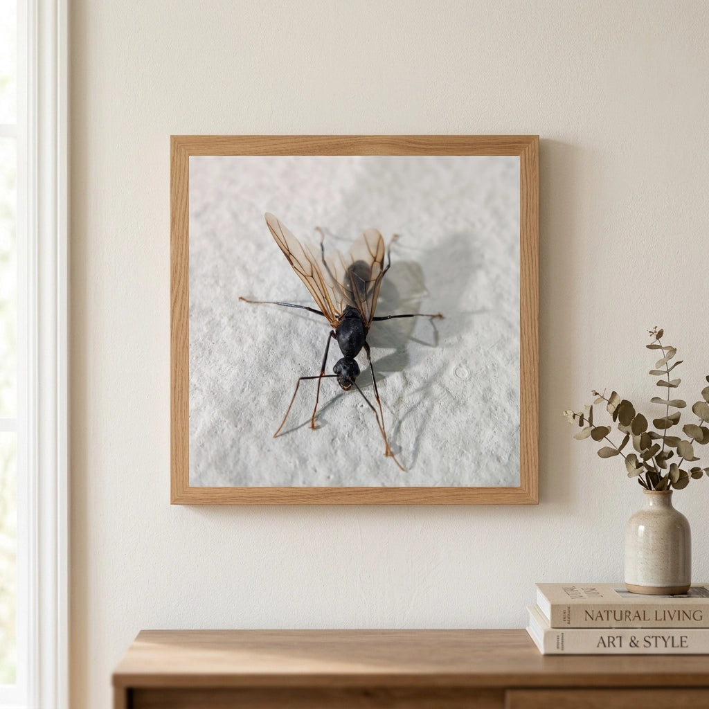 Winged Ant Macro