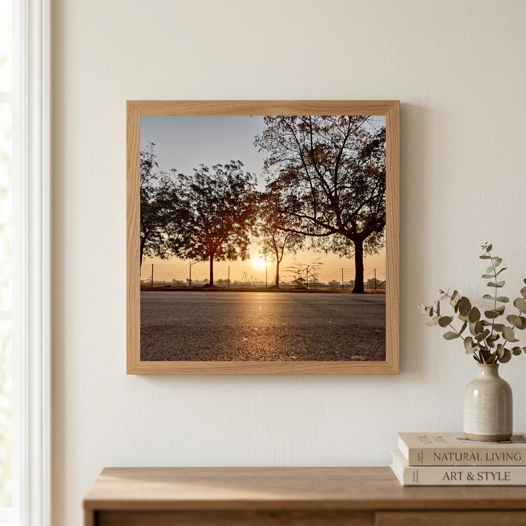 Sunrise Through Roadside Trees