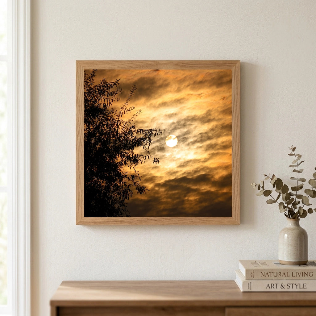 Golden Sunset Sky and Tree