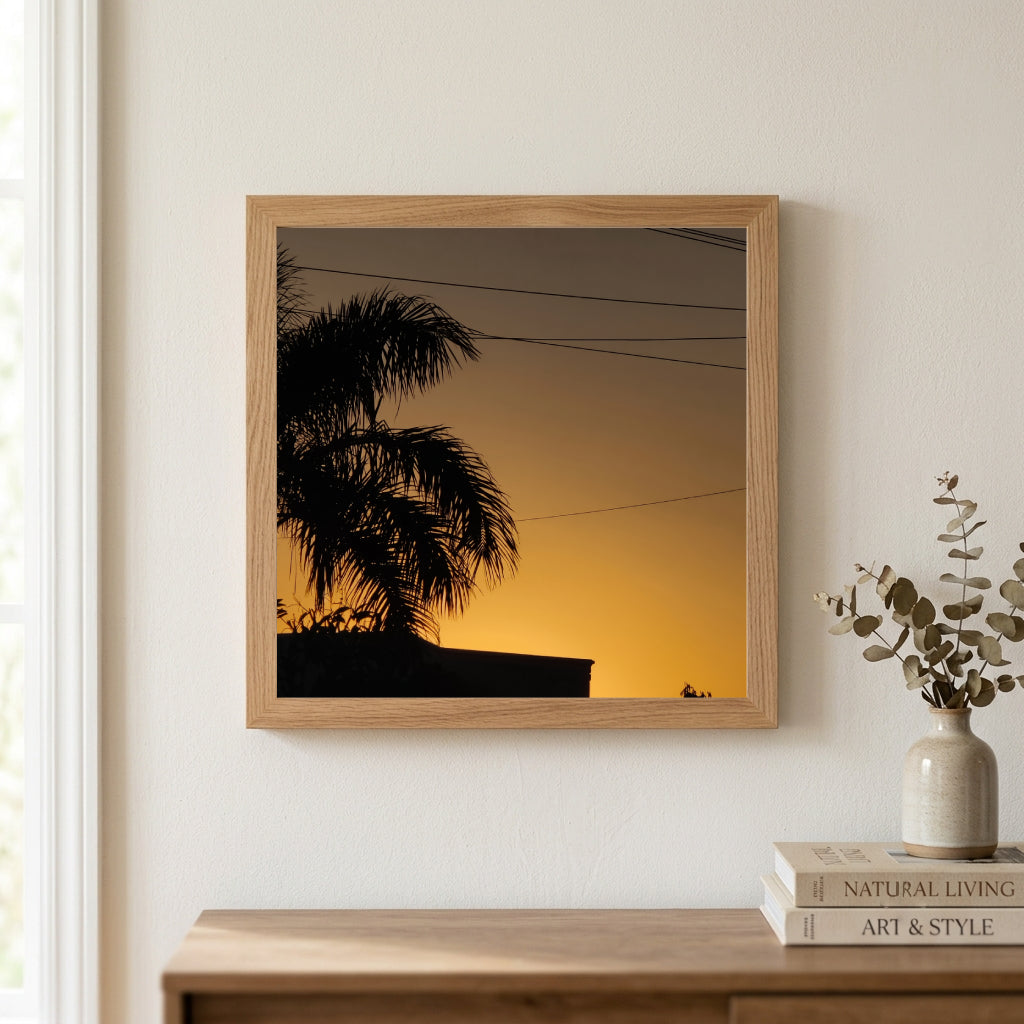 Palm Tree Sunset Silhouette