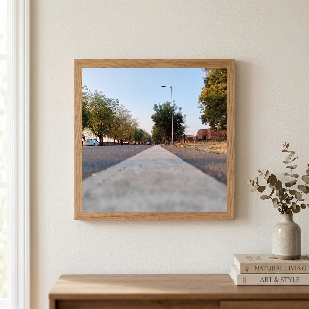 Tree Lined Road