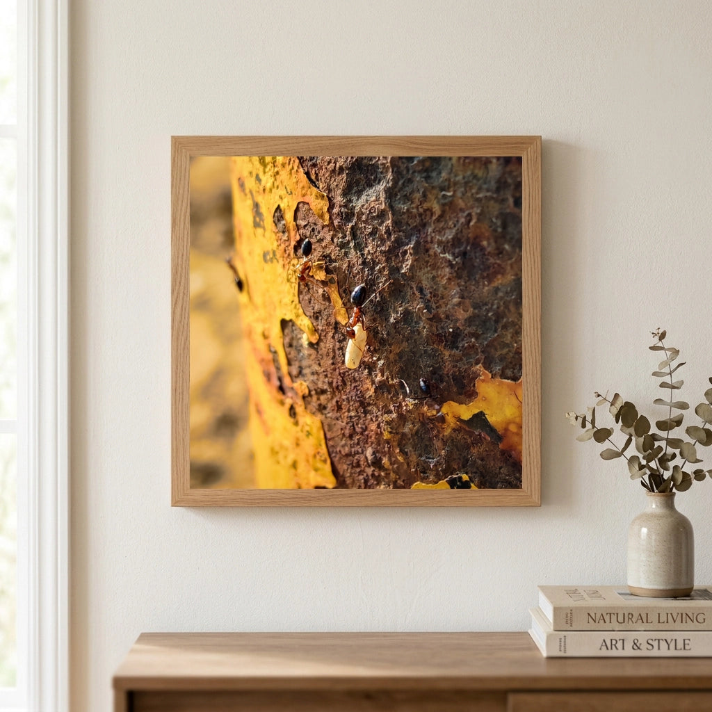 Ants on Rusted Yellow Metal