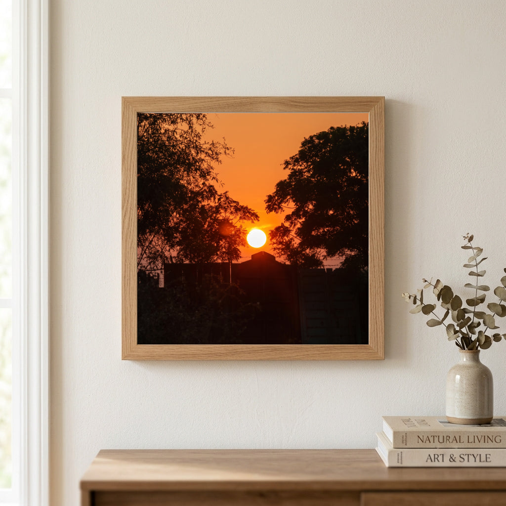 Sunset Through the Trees